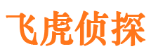 武川市侦探调查公司